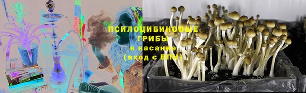 PSILOCYBIN Бронницы