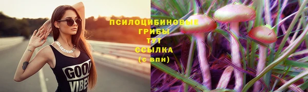 PSILOCYBIN Бронницы