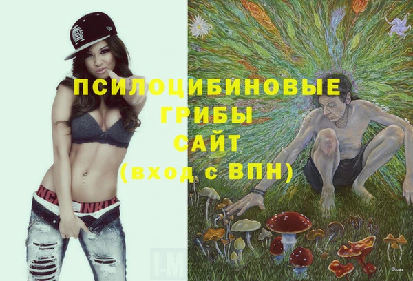 бошки Сатка