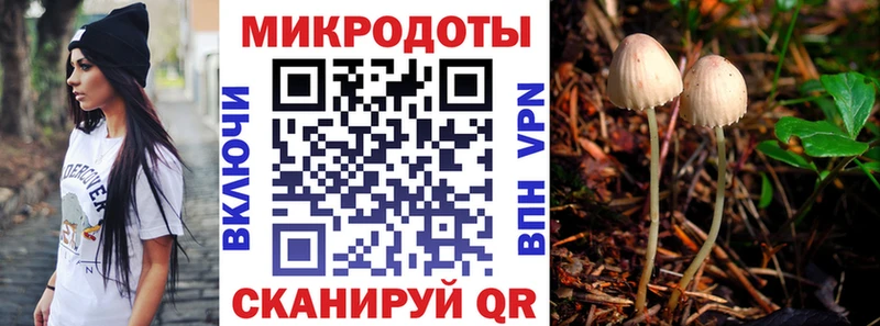 Галлюциногенные грибы мицелий Сорск